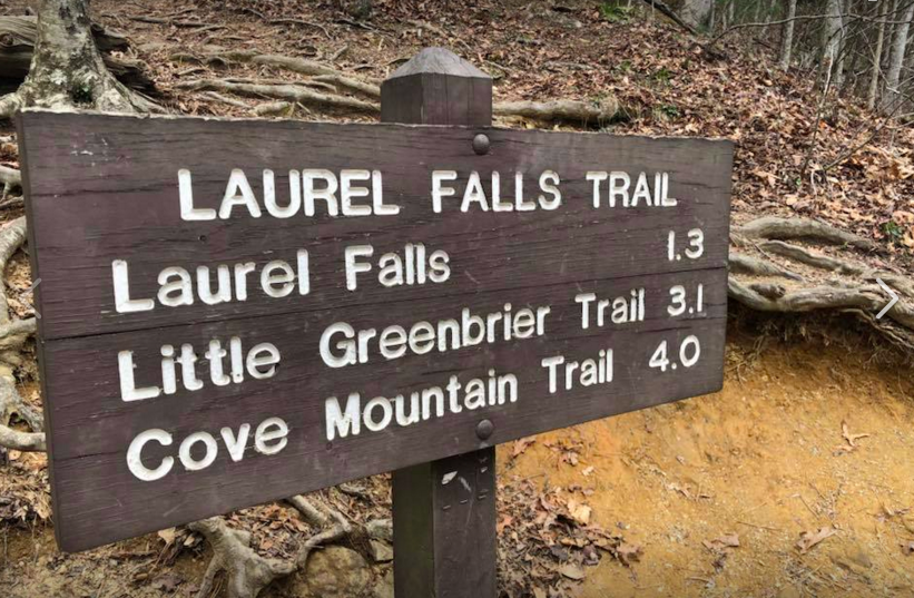 Laurel falls trail sign