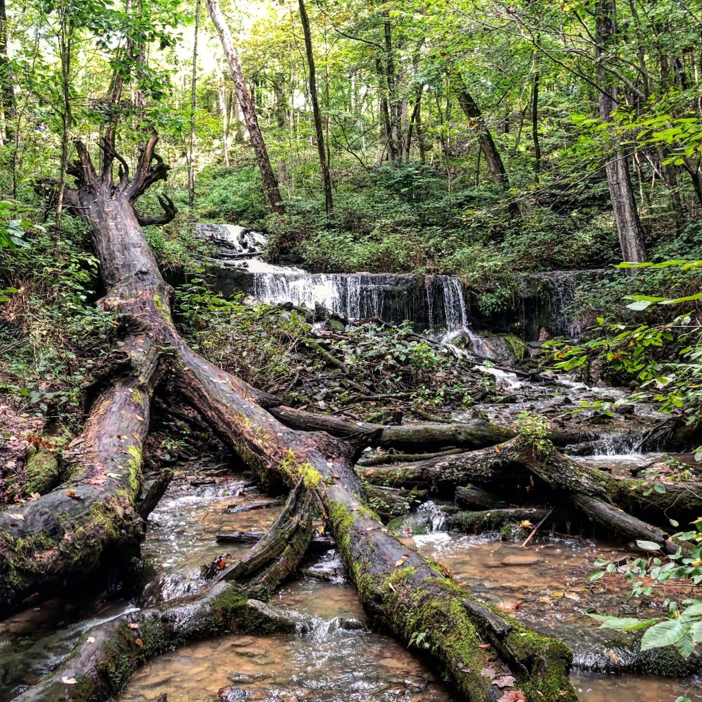 Leonard springs waterfalls