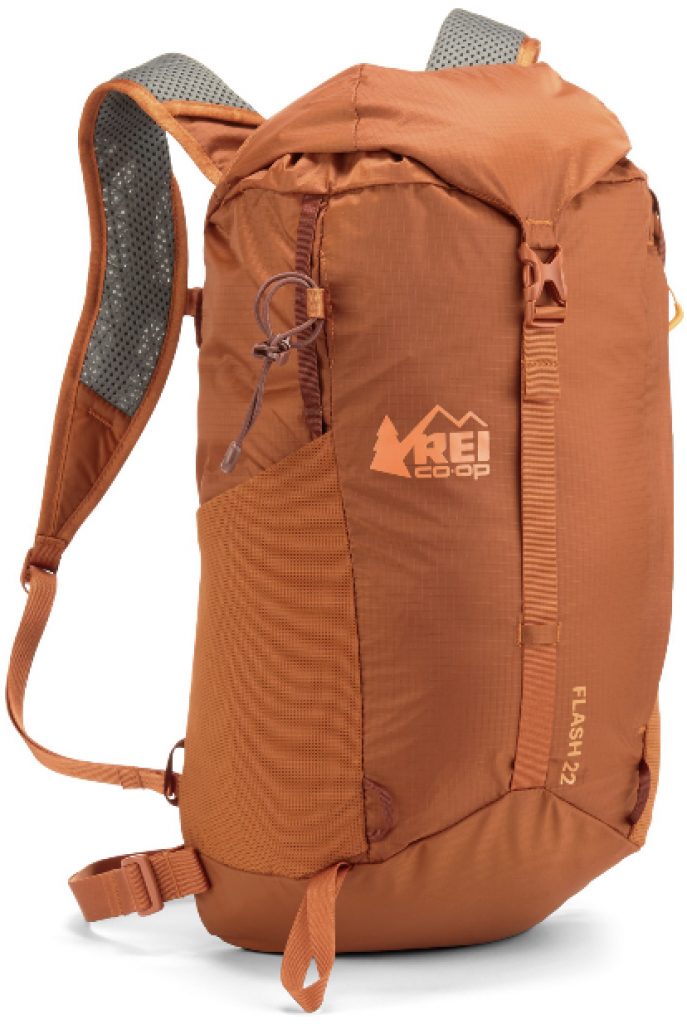 REI day pack