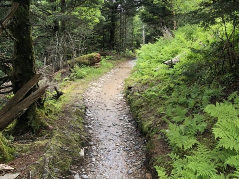 Hikes in the smoky mountains