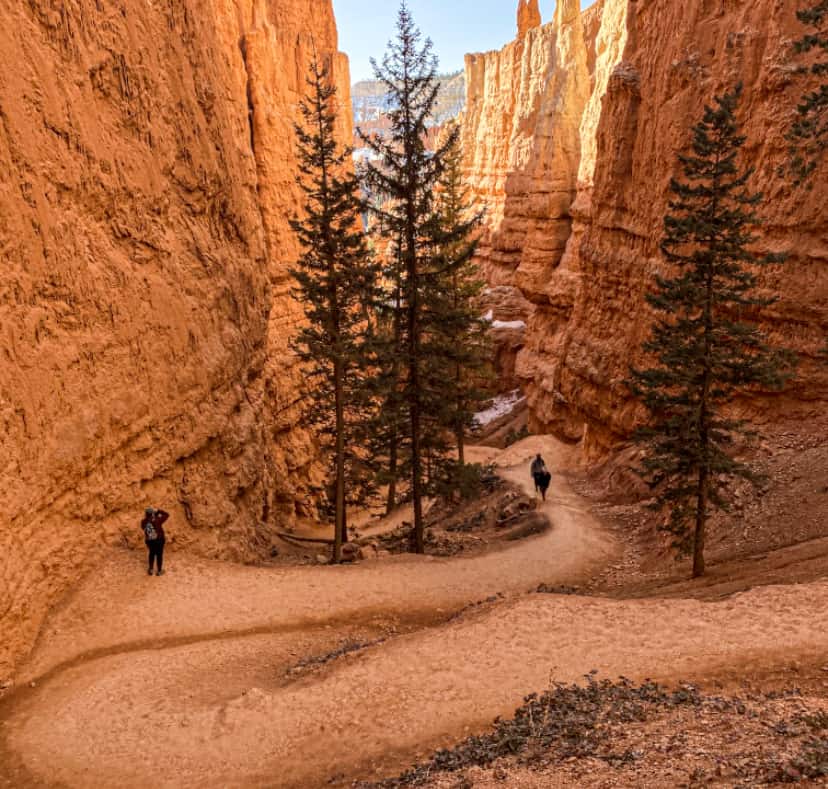 Bryce Canyon switchback