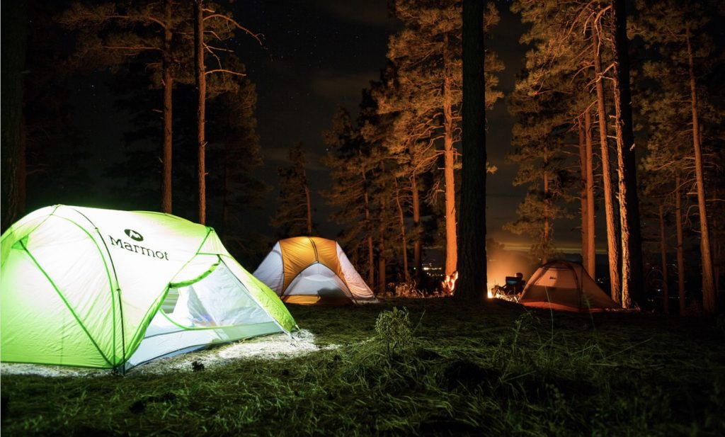 Camping without raccoons