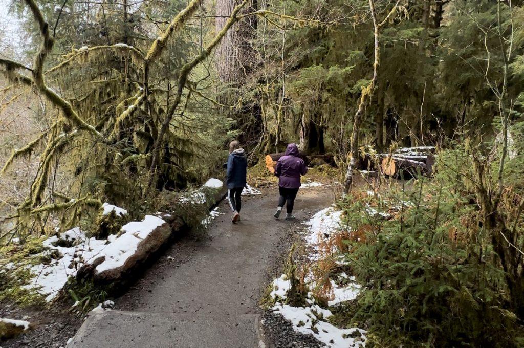 Family Hiking In Hall Of Mosses