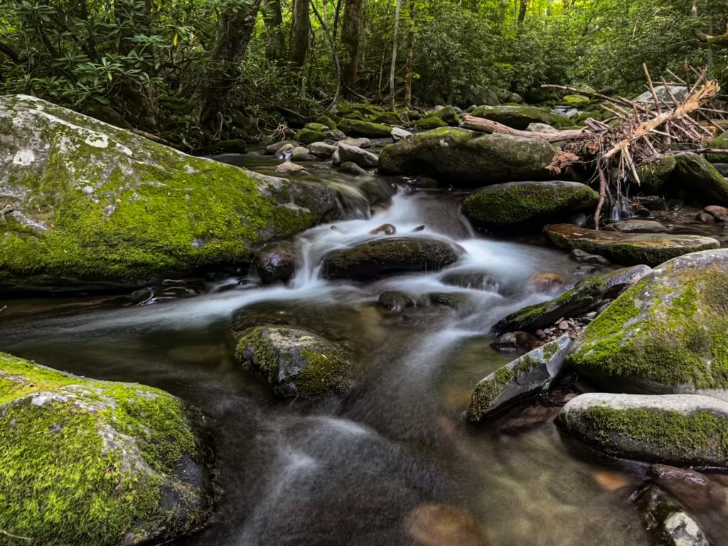 Roaring fork in smoky mountains